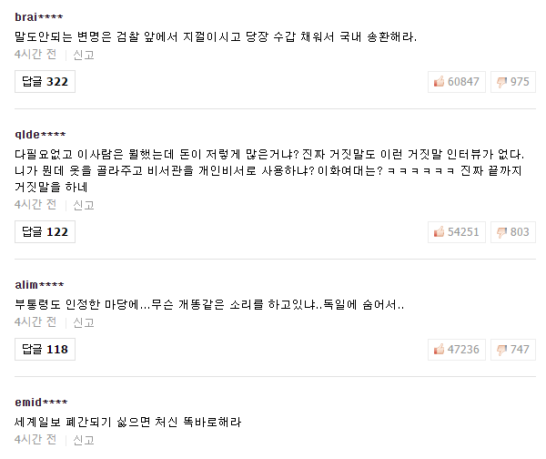 사진=네이버 뉴스 댓글 캡처.