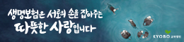 배너