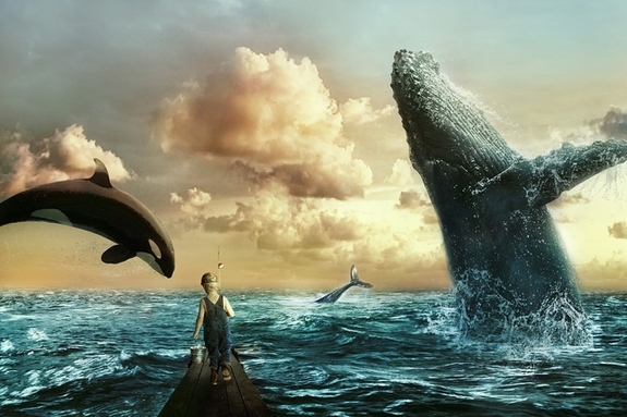 해양포유동물 보호 특별법 발의…한국 해양보전의 전환점 되나