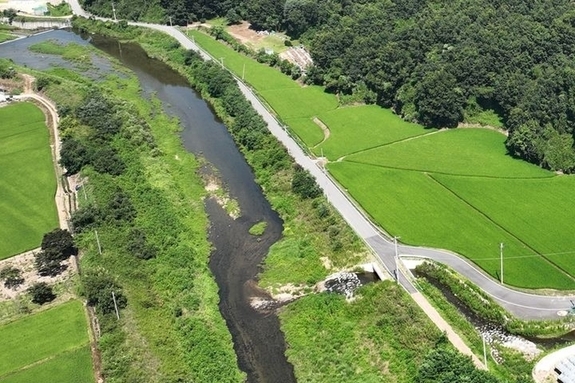 "자연이 기후위기 해법이다" 정부, 탄소 흡수 생태복원 국가 주도 추진