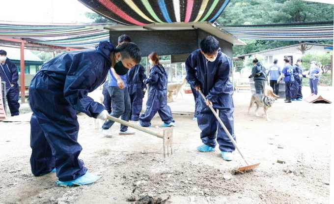 한국마사회 봉사단 유기동물보호소 봉사활동. (사진 = 한국마사회)