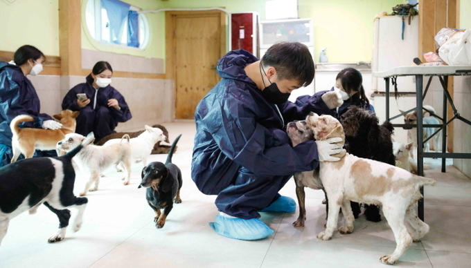 한국마사회 봉사단 유기동물보호소 봉사활동. (사진 = 한국마사회)