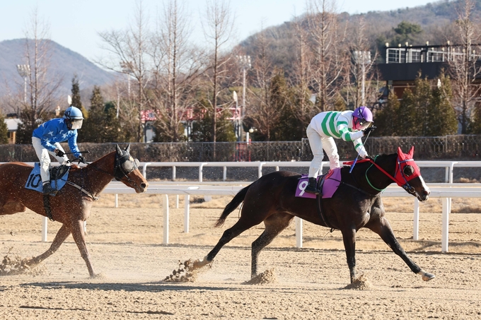 (단신1)(사진) 새해맞이 기념경주 우승한 경주마 서부특송과 장추열 기수. (사진=한국마사회)