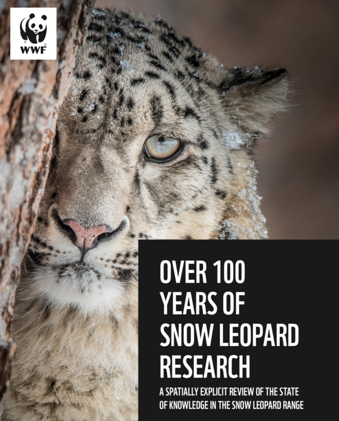 (사진=WWF)